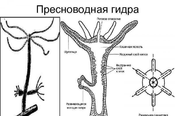 Kraken даркнет официальный сайт