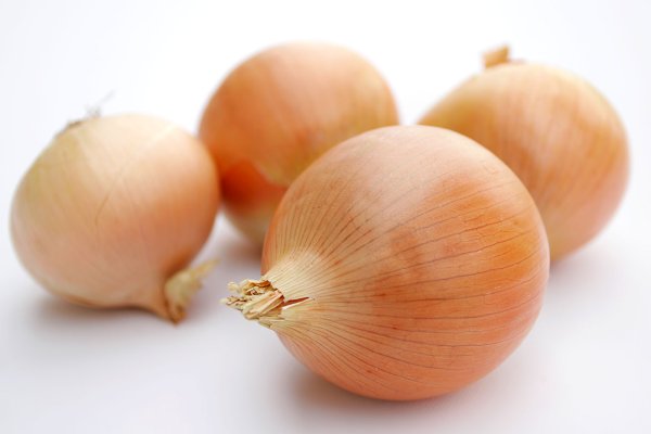 Омг сайт ссылка на гидру onion