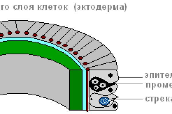 Кракен ссылки kraken6.at kraken7.at kraken8.at