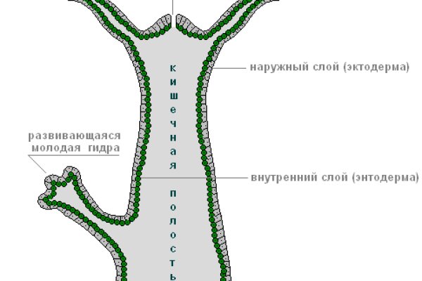 Кракен онион зеркало in.kramp.cc